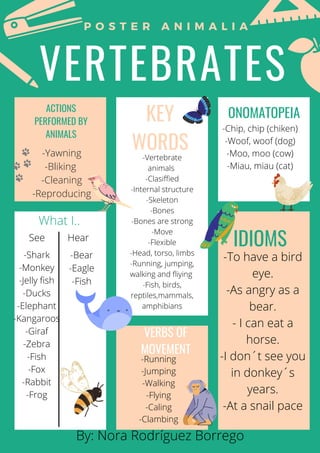 VERTEBRATES
P O S T E R A N I M A L I A
KEY
WORDS
By: Nora Rodríguez Borrego
IDIOMS
-To have a bird
eye.
-As angry as a
bear.
- I can eat a
horse.
-I don´t see you
in donkey´s
years.
-At a snail pace
-Vertebrate
animals
-Clasiffied
-Internal structure
-Skeleton
-Bones
-Bones are strong
-Move
-Flexible
-Head, torso, limbs
-Running, jumping,
walking and fliying
-Fish, birds,
reptiles,mammals,
amphibians
VERBS OF
MOVEMENT
ACTIONS
PERFORMED BY
ANIMALS
ONOMATOPEIA
-Yawning
-Bliking
-Cleaning
-Reproducing
-Chip, chip (chiken)
-Woof, woof (dog)
-Moo, moo (cow)
-Miau, miau (cat)
-Running
-Jumping
-Walking
-Flying
-Caling
-Clambing
What I..
See Hear
-Shark
-Monkey
-Jelly fish
-Ducks
-Elephant
-Kangaroos
-Giraf
-Zebra
-Fish
-Fox
-Rabbit
-Frog
-Bear
-Eagle
-Fish
 
