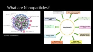 What are Nanoparticles?
De Gruyter: PLGA Nanoparticle
 