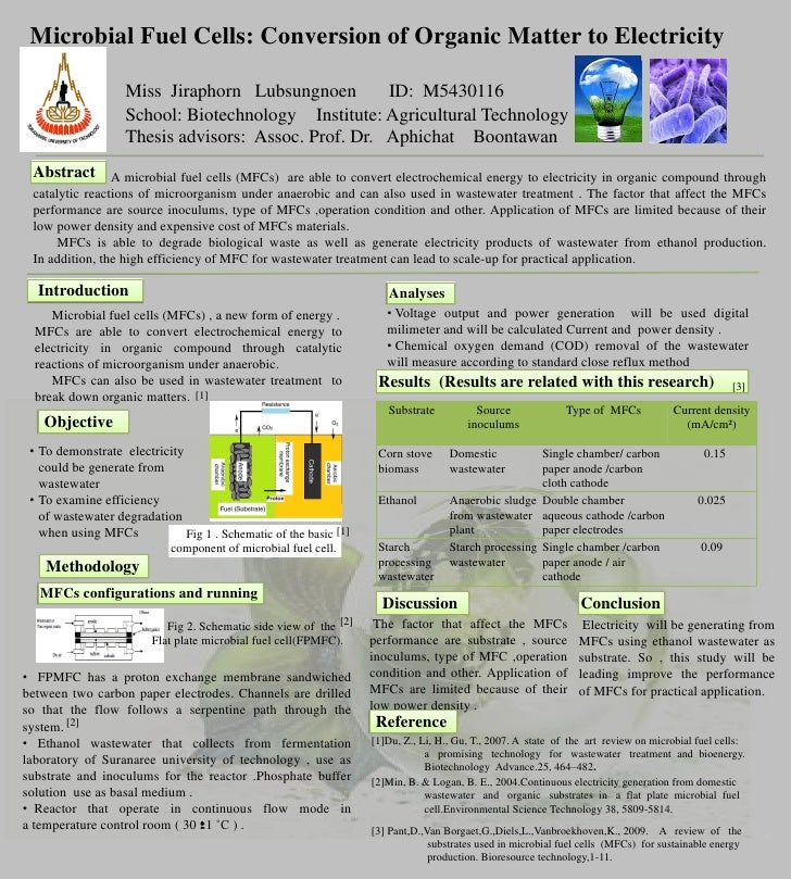 Fuel cell thesis