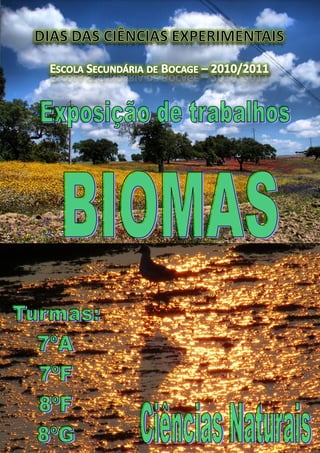 Exposição de trabalhos -Biomas