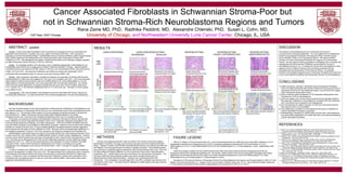 Cancer Associated Fibroblasts in Schwannian Stroma-Poor but  not in Schwannian Stroma-Rich Neuroblastoma Regions and Tumors Rana Zeine MD, PhD,  Radhika Peddinti, MD,  Alexandre Chlenski, PhD,  Susan L. Cohn, MD.  University of Chicago,  and   Northwestern University Lurie Cancer Center,  Chicago, IL, USA ABSTRACT  updated   Context:   Cancer-Associated Fibroblasts (CAFs) promote tumor angiogenesis and are associated with aggressive clinical behavior in prostate, lung, colon, gastric and breast carcinomas.  CAFs represent a population of stromal 'activated fibroblasts‘ / myofibroblasts that are routinely identified by alpha-Smooth Muscle Actin (  SMA) expression and distinguished from mature pericytes by lack of expression of heavy MW-Caldesmon (h-CD).  Neuroblastomas are pediatric neoplasms that exhibit seven histologic subtypes classified as either Schwannian stroma (SS)-poor or SS-rich / dominant.  Design:   To investigate whether CAFs also play a role in mediating angiogenesis in Neuroblastoma, we histologically examined 82 tumors diagnosed at Children's Memorial Hospital in Chicago.  Adjacent paraffin-embedded sections were stained with H&E, Masson-Trichrome; and immunohistochemistry was performed for   SMA, h-CD and CD31.  Microvascular Proliferation was defined as vessels with hypertrophic CD31 +  endothelial cells and additional layers of vascular mural cells including   SMA +  cells.  Results:   Light microscopic examination revealed the presence of a population of stromal cells that were strongly positive for   SMA and were negative for CD31 and h-CD consistent with CAFs.  CAFs were abundant within extensive reactive stromal bands in SS-poor undifferentiated (n=6), poorly differentiated (n=14) and differentiating (n=33) Neuroblastomas. CAFs were associated with microvascular proliferation.  By contrast, CAFs were less widely distributed in Ganglioneuroblastomas and were rare in SS-rich regions (intermixed n=13, nodular n=5).  In SS-dominant Ganglioneuromas (n=11) CAFs were rare.  Pericytes in normal vessels were   SMA + /h-CD + . Conclusion(s):   CAFs were identified in Neuroblastoma and were associated with SS-poor regions and microvascular proliferation.  Our data indicate that CAFs promote angiogenesis in SS-poor Neuroblastomas.  METHODS  Patients were diagnosed between 1987 and 2005 at The Children’s Memorial Hospital, Northwestern University in Chicago, and this study was approved by the Institutional Review Board.  Adjacent Formalin-Fixed-Paraffin-Embedded tissue sections were stained with H&E and with Masson-Trichrome special stain according to standard procedure.  Immunohistochemistry was performed on additional adjacent sections for alpha-Smooth Muscle Actin (1A4), CD31 and for heavy Molecular Weight Caldesmon (h-CD) (mouse anti-human mAbs, DakoCytomation, Carpenteria, CA).  Target-retrieval was done according to the manufacturer’s instructions.  The EnVision+/HRP anti-mouse detection system was used to visualize binding with 3,3'-diaminobenzidine (DAB; DakoCytomation).  Sections were counterstained with Gill's hematoxylin.  Two investigators, one pathologist (RZ), and (RP), evaluated entire sections from one block for each tumor.  The extent of tumor infiltration by   SMA positive cells was scored as rare, few or many.  DISCUSSION  The behavior of Neuroblastoma tumors is influenced by the type of microenvironment that gets established.  The more aggressive neuroblastomas exhibit varying degrees of Reactive Fibrovascular Stroma, whereas, benign tumors develop a matrix rich in Schwannian Stroma.  We observe relative exclusion of Cancer-Associated Fibroblasts from regions rich in Schwannian Stroma.  We also observe that the populations of infiltrating CAFs co-localize with angiogenesis and Microvascular Proliferation as described for this set of Neuroblastoma tumors (1,2).  In Schwannian Stroma-Rich Neuroblastoma, there appears to be an inhibition of these tumor promoting processes that are associated with the development of Fibrovascular Stroma.  It is possible, therefore, that strategies targeting Cancer-Associated Fibroblasts (6,8) may have a role in the treatment of patients with Schwannian Stroma-Poor Neuroblastoma. BACKGROUND  We have recently reported on the clinical significance of Microvascular Proliferation in Neuroblastoma, and described its presence in Schwannian Stroma-Poor but not in Schwannian Stroma-Rich Neuroblastoma tumors and regions (1,2).  This provided further support for the anti-angiogenic properties ascribed to Schwannian-derived factors (3).  Indeed, Schwannian stroma predominates histopathologically in the benign Ganglioneuromas, and in the Intermixed Ganglioneuroblastomas which carry an excellent prognosis.  In this study, we examine the presence and distribution of Reactive Fibrovascular Stroma, and describe tumor infiltration by Cancer-Associated Fibroblasts (CAFs) in the 7 diagnostic categories designated by the International Neuroblastoma Pathology Committee Classification.  CAFs are ‘activated’ fibroblasts that have acquired   SMA expression and developed myofibroblastic properties.  Studies on human carcinomas including prostate (4), breast (5) (6) and colon (7) have revealed significant correlations between clinically aggressive tumor behavior and the extent of tumor infiltration by CAFs.  Because of their clinicopathologic significance in the malignant progression of cancer, CAFs may represent a new target for emerging cancer therapies (8).  Myofibroblasts in granulation tissue and cancer are primarily derived from local mesenchymal cells; and, in invasive carcinoma, can undergo further cytodifferentiation similar to smooth muscle metaplasia (9).  Vascular smooth muscle cells (Pericytes) have also been demonstrated to have mesenchymal cell progenitors in cancer (10).  Pericytes can be distinguished from CAFs by their differential expression of heavy Molecular Weight Caldesmon (h-CD) (11).  CAFs are also characterized by their expression of a serine protease, Fibroblast Activation Protein.  Some of the mechanisms mediating the role of CAFs in promoting tumor growth, angiogenesis, and metastasis involve stromal cell-derived factor 1 (SDF-1) through it’s cognate receptor CXCR4 (6).  In order to evaluate tumor infiltration by CAFs, we examined tissue sections from human Neuroblastoma tumors for the expression of   SMA, CD31 and h-CD.  We observed that CAFs constituted a major component of the Reactive Fibrovascular Stroma which was more abundant in Schwannian Stroma-Poor regions and tumors.  Furthermore, CAFs co-localized with Microvascular Proliferation (vessels with hypertrophic CD31+ endothelial cells and additional layers of vascular mural cells including aSMA+ cells) where present within aggressive Neuroblastoma tumors.  CONCLUSIONS  1)   SMA-expressing, ‘activated’, fibroblasts (Cancer-Associated Fibroblasts, CAFs) are widely distributed within bands of Reactive Fibrovascular Stroma in Schwannian Stroma-Poor Neuroblastoma regions, but confined to thin septae within Schwannian Stroma-Rich tumors. 2) Heavy molecular weight Caldesmon (h-CD) expression distinguishes tumor Pericytes from CAFs in Neuroblastoma. 3) CAFs are located in the vicinity of blood vessels and are spacially related to Microvascular Proliferation in Neuroblastoma, consistent with their presumed role in promoting tumor progression and angiogenesis. 5) The mechanism(s) for relative exclusion of CAFs from Schwannian Stroma-Rich regions remain to be elucidated. 6) Clinicopathologic correlation for Neuroblastoma with extent of infiltration by Cancer-Associated Fibroblasts is warranted.  7) Histopathologic evaluation for   SMA-positive stromal cells in Neuroblastoma may guide patient stratification for clinical trials with novel treatments targeting Cancer-Associated Fibroblasts. REFERENCES  1. Zeine R. et al.  Vascular Endothelial Proliferation in Schwannian Stroma-Poor but not in Schwannian Stroma-Rich Regions of Neuroblastoma.  Brain Pathol. 2006, 16(s1):S154  2. Peddinti R., Zeine, R. et al.  Prominent Microvascular Proliferation in Clinically Aggressive Neuroblastoma Tumors.   Clin. Cancer Res. 2007, 13(12):3499 3. Chlenski A. et al.  SPARC is a key Schwannian-derived inhibitor controlling neuroblastoma tumor angiogenesis.  Cancer Res. 2002, 62:7357 4. Tuxhorn JA. et al.  Reactive Stroma in Human Prostate Cancer: Induction of Myofibroblast Phenotype and Extracellular  Matrix Remodeling.  Clin. Cancer Res. 2002, 8:2912 5. Yazhou C. et al.  Clinicopathological Significance of Stromal Myofibroblasts in Invasive Ductal Carcinoma of the Breast.  Tumor Biol. 2004, 25:290 6. Orimo A. et al.  Stromal Fibroblasts Present in Invasive Human Breast Carcinoma Promote Tumor Growth and Angiogenesis through Elevated SDF-1/CXCL12 Secretion.  Cell  2005,121:335  7. Henry LR. et al.  Clinical Implications of Fibroblast Activation Protein in Patients with Colon Cancer.  Clin. Cancer Res. 2007, 13:1736  8. Kalluri R. and Zeisberg M.  Fibroblasts in Cancer.  Nature Rev. Cancer 2006, 6:392 9. Sch ürch W. et al.  Myofibroblast  in Mills SE. (Ed.) Histology for Pathologists LWW 2007, ch.6 10. De Palma M. et al.  Tie2 Identifies a Hematopoietic Lineage of Proangiogenic Monocytes Required for Tumor Vessel Formation and a Mesenchymal population of Pericyte Progenitors .  Cancer Cell 2005, 8:211  11. Nakayama H. et al.  Differential Expression of High Molecular Weight Caldesmon in Colorectal Pericryptal Fibroblasts and Tumor Stroma.  J. Clin. Pathol. 1999, 52:785 FIGURE LEGEND   H&E (A-F), Masson-Trichrome special stain (G-L), and Immunohistochemistry for   SMA (M-U) and heavy-MW Caldesmon (V-Z) of representative sections from Ganglioneuroma (A,G,M,V); Ganglioneuroblastoma Intermixed (B,H,N,W) and Nodular (C,I,O,X); Differentiating (D,J,P,Q,Y), Poorly Differentiated (E,K,R,S,Z) and Undifferentiated (F,L,T,U) Neuroblastoma Tumors.  Magnification x200 P&Y x400.   SMA immunostain revealed very few positive stromal cells within Schwannian Stroma-Dominant Ganglioneuroma (M) and Schwannian Stroma-Rich Ganglioneuroblastoma (N).  By contrast,   SMA positive CAFs (Cancer-Associated Fibroblasts) were widely distributed in the Schwannian Stroma-Poor region of a nodular Ganglioneuroblastoma (O) and in the Differentiating (P,Q), Poorly Differentiated (R,S) and Undifferentiated (T,U) Neuroblastoma Tumors. Abundance of Fibrovascular Stroma in Schwannian Stroma-Poor Neuroblastomas and regions could be appreciated on H&E (C-F) and Masson-Trichrome special stain (I-L).  Images of CD31 are provided in Peddinti, Zeine et al. ’07 (2).  Heavy Molecular Weight Caldesmon (h-CD) positivity was specific to blood vessels, distinguishing tumor pericytes from CAFs (V-Z vs. M-U).  GANGLIONEUROMA INTERMIXED NODULAR  NEUROBLASTOMA  DIFFERENTIATING J D E B H H&E x200 h-CD x200 C F I L K O N NEUROBLASTOMA POORLY DIFFERENTIATED NEUROBLASTOMA UNDIFFERENTIATED Q S U RESULTS MASSON  TRICHROME  x200  SMA x200 W Y Z A G M V Schwannian Stroma-Dominant Focal Reactive Stroma Few Cancer-Associated Fibroblasts plus Pericytes Only Pericytes h-Caldesmon positive (same field as A&M) Only Pericytes h-CD   positive (same field as B&N) Few Cancer-Associated Fibroblasts in Vicinity of Neuroblastic Cells Thin Reactive Stromal Septae Schwannian Stroma-Rich, Intermixed Neuroblastic Cells  Fibrovascular Tumor Stroma in  Schwannian Stroma-Poor Region Abundant Fibrovascular Stroma in Schwannian Stroma-Poor Region Many Cancer-Associated Fibroblasts plus Pericytes Abundant Fibrovascular Stroma Many Cancer-Associated Fibroblasts within Reactive Fibrovascular Stroma GANGLIONEUROBLASTOMA Many Cancer-Associated Fibroblasts with Pericytes and Microvascular Proliferation Abundant Reactive Stroma with Microvascular Proliferation Microvascular Proliferation within Schwannian Stroma-Poor Tumor Reactive Stroma within  Schwannian Stroma-Poor Tumor R P T Fibrovascular Stroma within  Schwannian Stroma-Poor Tumor Abundant Fibrovascular Stroma Many  SMA positive cells within networks of Fibrovascular Stroma X Only Pericytes h-CD positive (same field as C, I &O) CAFs negative for h-CD (same field as P) Only Pericytes positive for h-CD  Other stroma negative for h-CD x400 x400 CAP Sept. 2007 Chicago 