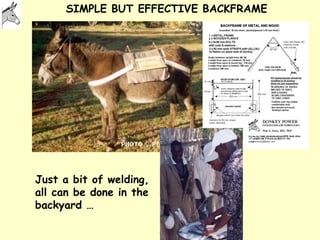 Donkeys for development | PPT