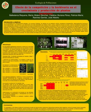 Introducción y objetivos
Si las densidades son suficientemente elevadas y los recursos limitantes, los plantas de una población sufrirán competencia intraespecífica, desencadenando fenómenos
denso-dependientes que conllevan a una disminución de la tasa fotosintética que afecta a hojas y raíces, pudiendo provocar la muerte. Tanto la competencia intraespecífica
como interespecífica conduce a una disminución de la tasa de reclutamiento de los individuos a la población. Éste es un mecanismo importante de regulación del tamaño de la
población, en especial, la interespecífica determina la composición de la comunidad. Estos fenómenos pueden verse influidos por interacciones con otros organismos como la
herbivoría. Los objetivos de la práctica es ver cómo la competición en fases iniciales de crecimiento y desarrollo de las plantas afecta a su supervivencia y crecimiento,
analizando la competencia intraespecífica e interespecífica con plantas de otra especies y su efecto combinado con la herbivoría. Para ello desarrollamos dos diseños
experimentales que se plantearon en el jardín experimental de la UJA y posteriormente las siembras se pasaron a una cámara de cultivo del área de Fisiología Vegetal, donde
las plantas crecieron durante dos semanas. Se usaron plantas de lenteja (Lens culinaris) y garbanzo (Cicer arietinum) en ambos experimentos
Metodología:
En una primera experiencia evaluamos el efecto de la densidad
y la herbivoría sobre la supervivencia de las especies incluídas
en el estudio. Se utilizaron plántulas de lenteja (Lens culinaris,
Fabaceae) y garbanzo (Cicer arietinum, Fabaceae). Se montó
un diseño experimental de dos factores cruzados (densidad y
herbivoría) para cada especie en igualdad de condiciones. Los
tratamientos aplicados para cada factor son:
•Densidad (Alta: 10 plántulas sembradas por maceta) y (Baja: 2
plántulas sembradas por maceta).
• Herbivoría (sí herbivorizadas = se cortarán la mitad de los
foliolos de cada hoja compuesta) y (no herbivorizada = dejar la
planta intacta).
Cicer arietinum Lens culinaris
Conclusiones:
Resultados:
Efecto de la competición y la herbivoría en el
crecimiento y producción de plantas
herbáceas
Ecología de PoblacionesEcología de Poblaciones
Supervivencia
Producción
total
Producción
aérea total
Producción
total de raíz
ratio
producción
raíz/tallo
Biomasa por
planta
Biomasa
aérea por
planta
Biomasa de
raíz por planta
ratio
raíz/tallo por
planta
especie
> en
garbanzo
> en garbanzo > en garbanzo > en garbanzo > en garbanzo > en garbanzo
densidad negativo
efecto
positivo
positivo positivo
herbivoría
efecto
negativo
efecto negativo efecto negativo efecto negativo
esp x dens
neutro en
lenteja
neutro en lenteja neutro en lenteja
esp x herbiv peor el garbanzo peor el garbanzo peor el garbanzo
dens x herbiv
esp x dens x herbiv
La herbivoría tuvo un efecto negativo, que afectó principalmente al garbanzo y
mucho menos a la lenteja. Este efecto se manifestó en una reducción de la
biomasa total (fig.1), particularmente a través de reducir la biomasa de raíz
(tanto en producción total como en producción por planta). Se detectó un
efecto negativo de la competición sobre la supervivencia (fig.2), que no difirió
entre especies. Sin embargo, no se detectó un efecto de competición
intraespecífica (de densidad) sobre la biomasa. De hecho, la densidad se
relacionó positivamente con la producción total de biomasa en el tiesto
aunque no sobre la biomasa individual, siendo esto mucho más manifiesto en
el garbanzo que en la lenteja. La ratio raíz/tallo no se vio afectada ni por la
densidad ni por herbivoría. Finalmente, no es aparente ninguna
interdependencia de los efectos de la densidad y la herbivoría en la
supervivencia o en la producción de biomasa.
Se realizaron 4 combinaciones de
tratamientos de los dos factores:
Alta densidad sí herbivorizada.
Alta densidad no herbivorizada.
Baja densidad sí herbivorizada.
Baja densidad no herbivorizada.
En la segunda experiencia, repetimos el mismo procedimiento
expuesto, introduciendo las 2 especies consideradas en los
mismos tiestos (una plántula de cada especie a baja densidad y
5 de cada una en alta densidad en cada tiesto).
Se procedió al conteo del nº de plantas vivas.
Se extrajeron cada una de las plántulas con el menor daño
posible para la raíz, lavando la raíz en el laboratorio y tomando
medidas de las siguientes variables: longitud de la parte aérea
de la planta, longitud de las raíces, peso seco de la parte aérea,
peso seco de la raíz.
Determinamos si la producción de biomasa es mas afectada
por competición intraespecífica o interespecífica así como la
simetría de la competición.
Los resultados obtenidos se analizaron mediante análisis
ANOVA factorial.
Ballesteros Requena, María; Molero Sánchez, Catalina; Muriana Pérez, Patricia María;
Ramírez Garrido, José Alberto.
F (1 , 2 4 )= 2 5 , 2 1 9 , p = , 0 0 0 0 4
V e r t i c a l b a rs d e n o t e 0 , 9 5 c o n f i d e n c e i n t e rv a l s
e s p e c i e
le n te ja
e s p e c i e
g a r b a n z o
a lt a b a ja
d e n s id a d
- 4
- 2
0
2
4
6
8
1 0
1 2
1 4
1 6
1 8
2 0
biomasatotalfinal
F (1 , 2 4 ) = 6 , 3 3 3 3 , p = , 0 1 8 9 4
V e rt i c a l b a r s d e n o t e 0 , 9 5 c o n f i d e n c e i n t e rv a l s
a lta b a ja
d e n s id a d
0 ,9 0
0 ,9 2
0 ,9 4
0 ,9 6
0 ,9 8
1 ,0 0
1 ,0 2
1 ,0 4
prop.vivas
F (1 , 2 4 ) = 4 , 7 6 6 3 , p = , 0 3 9 0 3
V e r t i c a l b a r s d e n o t e 0 , 9 5 c o n f i d e n c e i n t e r v a l s
e s p e c ie
le n te ja
e s p e c ie
g a r b a n z o
S i N o
h e r b iv o r í a
- 0 ,4
- 0 ,2
0 ,0
0 ,2
0 ,4
0 ,6
0 ,8
1 ,0
1 ,2
1 ,4
1 ,6
biomasaraíz/planta
Fig.1
Fig.2
Fig.3
Plántulas en los tiestos Tiestos en cámara Detalle de foliolosDetalles herbivoría
Supervivenci
a
Producción
total
Producción
aérea total
Producción
total de raíz
ratio
producción
raíz/tallo
Biomasa por
planta
Biomasa
aérea por
planta
Biomasa de
raíz por
planta
ratio
raíz/tallo por
planta
Coeficiente
intraespecífico en
la lenteja
-0,020 0,651 0,620 0,710 0,131 0,050 0,003 0,150 -0,538
Coeficiente
interespecífico
sobre la lenteja
-0,081 0,576 0,530 0,650 0,128 0,020 -0,030 0,100 -0,501
Coeficiente
intraespecífico en
el garbanzo
-0,017 0,693 0,641 0,720 0,911 0,064 -0,031 0,118 0,638
Coeficiente
interespecífico
sobre el garbanzo
0,000 0,693 0,626 0,734 0,175 0,121 0,010 0,195 -0,534
En general los efectos intra e interespecíficos fueron bastante similares, sugiriendo que tanto para la
lenteja como para el garbanzo los efectos interespecíficos fueron equivalentes a los intraespecíficos.
De hecho, en contra de lo previsto los efectos de densidad fueron principalmente positivos (véase
predominio de valores positivos de los coeficientes de interacción en la tabla), no detectándose apenas
efectos inhibitorios. La competición interespecífica sólo se manifestó en una disminución de la ratio
raíz/tallo (y en menor medida sobre la supervivencia) en la lenteja, pero no en el garbanzo. No
detectamos ningún efecto significante de competición intraespecífica (aunque la supervivencia de
ambas especies fue menor a altas densidades de su especie; véase valores negativos del coeficiente)
En conclusión, en las etapas iniciales de crecimiento de estas dos leguminosas, predominan interacciones positivas sobre negativas, aunque se pueden producir pequeñas
pérdidas de efectivos por competición, siendo la lenteja peor competidor que el garbanzo, probablemente por sus menores reservas en la semilla. La herbivoría afecta
negativamente al crecimiento, especialmente disminuyendo la producción de biomasa en la raíz, siendo este efecto manifiesto en el garbanzo.
Resultados del diseño de experimental de dos factores para esclarecer el balance de competición
intra e interespecífica (en rojo aparecen los coeficientes de interacción significativos)
Resultados del diseño de experimental de dos factores (densidad y herbivoría)
con el garbanzo y la lenteja (en rojo aparecen los datos significativos)
Coeficientes de interacción estimados en base al
índice Relative Interaction Index de Armas et al.
2004. Measuring plant interactions: a new
comparative index. Ecology 85: 2682-2686.
 