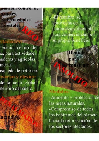 Demoler
para
construir
Tala sin control de
árboles.
Enfermedades
forestales.
Incendios.
//www.greenpeace.org/espana/es/
 