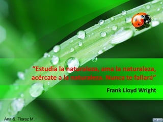 “Estudia la naturaleza, ama la naturaleza,
acércate a la naturaleza. Nunca te fallará”
Frank Lloyd Wright
Ana S. Florez M.
 