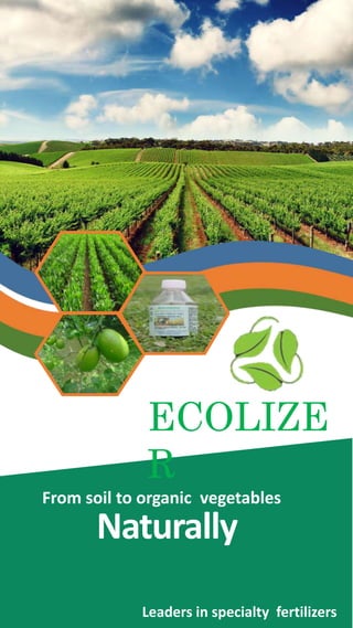 ECOLIZER
From soil to organic vegetables
Naturally
Leaders in specialty fertilizers
 