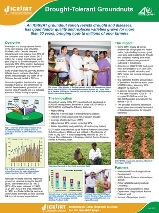 An ICRISAT groundnut variety resists drought and diseases,
has good fodder quality and replaces varieties grown for more
than 60 years, bringing hope to millions of poor farmers
Drought-Tolerant Groundnuts
July 2012
The former Chief Minister of Andhra Pradesh, late Dr YS Rajasekhara Reddy
hands over the ICGV 91114 seeds to Anantapur farmers on 1 June 2006.
He is flanked by Director General Dar (on his right), and Mr N Raghuveera
Reddy, Agriculture Minister.
Overview
Anantapur is a drought-prone district
in the rain shadow area of Andhra
Pradesh, India. Despite frequent
droughts and crop failures, over 70% of
the cultivated area in the district (~1.0
million ha) is sown to groundnut each
year (Figure 1). Smallholdings (<3.0 ha)
dominate 60% of the district, the largest
groundnut growing area in the world.
Soils are light textured, gravelly, shallow
Alfisols, low in nutrients. Rainfall is
erratic with prolonged dry spells of 45–
50 days, Annual rainfall is 522 mm.
Groundnut yield in the district is highly
variable (Figure 2) and determined by
rainfall. Nevertheless, groundnut can
survive long dry spells and is a valuable
source of fodder during dry years.
Fig 1. Share (% of the total cropped area)
of different crops on sample farms in
Anantapur district, Andhra Pradesh, India,
2008–09.
ICGV 91114 on gravelly, shallow alfisols of
Anantapur district.
Anantapur farmers in their lush groundnut field.
Fig 2. Area, production and yield of
groundnut over the years in Anantapur
district during 1966–67 to 2007–08.
Although the state released improved
groundnut varieties during the last 20
years, old varieties such as TMV 2
(80% of the area, released in 1940),
JL 24 (15–20% of the area, released
in 1978) and Pollachi Red (a landrace)
continued to dominate, as new varieties
fell short of farmers’ expectations.
The innovation
Groundnut variety ICGV 91114 was bred and developed at
ICRISAT headquarters, India from a cross of ICGV 86055 x
ICGV 86533, and has the following features:
❖❖ High yielding
❖❖ Matures in 90-95 days in the kharif (rainy season)
❖❖ Tolerant to mid-season and end-of-season drought
❖❖ Average shelling turnover of 75%
❖❖ Oil content of 48%, protein content of 27%
❖❖ Better digestibility and palatability of haulms (dry fodder).
ICGV 91114 was released by the Andhra Pradesh State Seed
Sub-Committee in 2006 and was notified in The Gazette of
India in July 2007. It was subsequently released as Devi in
Orissa. Our collaborator in Anantapur district, Accion Fraterna,
named it Anantha Jyothi.
The impact
❖❖ ICGV 91114 meets all farmer
preferences of high pod and haulm
yields, high shelling turnover, good
seed size, and resistance to drought
and diseases, making it the most
popular dual-purpose groundnut
cultivated in India today.
❖❖ Adoption of ICGV 91114 had a pod
yield advantage of 23% with 30%
reduction in yield variability and
36% higher net income compared
to TMV 2.
❖❖ It is estimated that the annual value
of benefits in the district would cross
US$500 million, assuming 35%
adoption by 2020-21.
❖❖ In spite of severe drought conditions
in the past 4-5 years, ICGV 91114
occupied 25,000 ha out of the
800,000 ha under groundnut in the
district in 2010.
❖❖ The possible economic benefits of
its adoption demonstrate the impact
of breeding groundnut for drought
tolerance.
Annual value of yield and risk benefits
from the adoption of groundnut variety
ICGV 91114 in Anantapur district,
Andhra Pradesh, India.
Principal Scientist SN Nigam
shares the joy of this southern
Indian groundnut farmer over
a good harvest.
Partners
❖❖ International Fund for Agricultural
Development;
❖❖ NGO, Accion Fraterna in Anantapur
district;
❖❖ Acharya NG Ranga Agricultural
University;
❖❖ State Farm Corporation of India;
Department of Agriculture, Andhra
Pradesh; and
❖❖ farmers of Anantapur district.
 