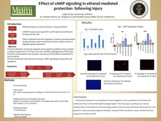Effect of cAMP signaling in ethanol mediated  protection  following injury Lydia Cortes, University of Miami Dr. Damien Pearse,Dr. Fenghan Yu and Daniella Garcia, Miller School of Medicine Introduction: ,[object Object]
