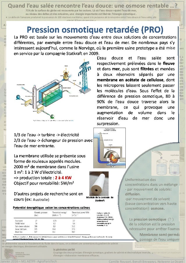 Rencontre ebolowa