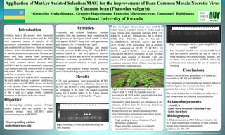 Application of Marker Assisted Selection(MAS) for the improvement of Bean Common Mosaic Necrotic Virus
                                   in Common bean (Phaseolus vulgaris)
                         *Gerardine Mukeshimana, Gregoire Hagenimana, Francoise Murorunkwere, Emmanuel Bigirimana
                                                                          National University of Rwanda
                                                                                                      • Five bc-3 gene donors bean lines (USWK-6,
             Introduction                                            Activities                       TARS VAR-7, USCR-7, USCR-9, TARS VAR-1)
                                                  •Assemble and evaluate landraces, released          were crossed with local bean cultivars RWR 719,
Common bean is the second most important          varieties, elite and promising bean germplasm for   RWK 10, RAB 487, MLB-49-89A, MLB 49-89A,
source of human dietary protein and the third     the presence of the I gene which results in black   RWR 1946., RWV523, CAB 19, NG 224-4,
most important source of calories of all          root against BCMNV using both field, greenhouse,    SCAM80CM115, RWV167, G2331, and RWR
agricultural commodities produced in eastern      and markers SW 13 linked to the I gene              2075. A total of 86 segregating lines at different      Fig3. screening for the bc-3 gene using ROC11
and southern Africa. However, Bean production     •Integrate conventional Breeding and marker         levels consisting of 18 F2, 27 BC2F4:5, 24                                  marker
is always below the optimum in these areas due    assisted selection (MAS) using SW 13 and ROC11      BC1F1:5, and 8 BC2F1:5 were developed and             • One Rwandan student was trained at MS level
to various production constraints. Disease and    markers linked to I and bc-3 genes to improve       selected for BCMNV resistance as well as other          and her research involved the use of MAS in
pests rank high among bean production             resistance to BCMV and BCMNV in common bean         common bean diseases in Rwanda. Field and               Plant breeding; two undergraduate students, one
problems. Bean common mosaic virus (BCMV)         •Enhance consumer acceptability by involving        markers SW13 and ROC 11 were used in BCMNV              of them now a researcher at ISAR; and a lab
and bean common mosaic necrotic virus             farmers in varietal selection in early generation   resistance selection. Most of these lines are being     technician were trained in the use of markers in
(BCMNV) are the most economically important       selections                                          tested in multi-locational trials                       breeding
viral diseases affecting common bean in eastern   •Enhance local capacity in plant breeding and the
and central Africa. They may cause up to 80%      used of biotechnology approaches in bean breeding                                                                         Conclusions
yield loss in common bean.                                                                                                                                  •Most of the local bean germplasm in Rwanda are
Breeding for BCMV and BCMNV resistance is                           Results                                                                                 susceptible to BCMV and BCMNV
the only viable method to prevent yield losses    • 219 bean germplasm were screened for BCMV
in that region since BCMNV strains are found      and BCMNV using field in Rubona (hotspot for                                                              •The integration of conventional and markers linked to
in wild legumes. Genes conditioning resistance    BCMV and BCMNV). Only 28 genotypes showed                                                                 I and bc-3 genes has successively been able to
to BMNV have been characterized. Pyramiding       no symptoms in the field. The marker screening      Fig2. Field Screening of advanced lines from a        pyramid these genes in bean breeding
of the I and bc-3 genes would condition                                                               cross USCR-7X RWK10 (2 middle rows) for
                                                  using SW13 marker linked to the I gene showed                                                             •The need of stakes has to be addressed otherwise it
resistance to all strains of the two viruses      that 17 genotypes out of 28 had the “I” gene        resistance to BCMNV under natural infection from
                                                                                                                                                            may compromise the climbing bean production
                                                                                                      the local susceptible cultivar Nakaja
Objective                                                                                             Participatory plant breeding was introduced in the    Acknowledgements:
 To develop high yielding varieties of major                                                          selection of these lines by involving farmers at      • ASARECA
market classes that are resistant to bean                                                             flowering and maturity stages.                        • Ginés-Mera Memorial Fellowship Fund
common mosaic virus (BCMV) under                                                                       Results showed that farmers selection criteria       • Robin Buruchara
environments prone to BCMNV.                                                                          were: Determinate architecture since these do not
                                                                                                      need stakes which are expensive                       Bibliography
                                                                                                      • High yielding in terms of number of pod             G. Mukeshimana et al.2005. Markers linked to the
*Corresponding author:                                                                                • Resistance to diseases                              bc-3 gene conditioning resistance to bean common
                                                  Fig1. Screening of bean germplasms using the
mukeshim@msu.edu                                                                                      • Vigor since they can resist to wind and             mosaic potyviruses in common bean.
                                                  SW13 marker                                                                                               Euphytica 44: 291-299
                                                                                                          maintain flowers under excessive rain
 