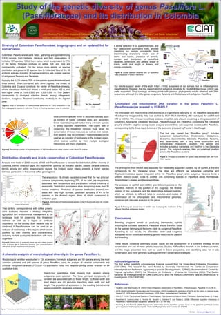 Study of the genetic diversity of genus Passiflora L.
                          (Passifloraceae) and its distribution in Colombia

                                                                   John Ocampo Pérez1, Geo Coppens d‟Eeckenbrugge2, Andy Jarvis1,3, Ange-Marie Risterucci2, Philippe Feldmann2 and Xavier Scheldeman1
                                                                  1Bioversity            International, 2Centre de Cooperation Internationale en Recherche Agronomique pour le Développement (CIRAD), 3International Center for Tropical Agriculture (CIAT)



  Diversity of Colombian Passifloraceae: biogeography and an updated list for                                                                                                     A similar selection of 32 qualitative traits, and                               n = 12
  conservation                                                                                                                                                                    four categorized quantitative traits, allowed
                                                                                                                                                                                  classifying our sample consistently. Most
                                                                                                                                                                                  discriminating characters include size of
 Colombian Passifloraceae were listed, gathering and georeferencing
                                                                                                                                                                                  stems and leaves, presence of tendrils,
 3,930 records, from herbaria, literature and field observations. It                                                                                                              number and distribution of extrafloral                                                             n = 10
 includes 167 species, 165 of them native, which is equivalent to 27%                                                                                                             nectaries, dimensions and general shape of
 of the family. Forty-two produce an edible fruit, and nine are                                                                                                                   bracts, width and length of flowers and                           n=6
 commercially cultivated. Our list brings more details on species                                                                                                                 corona complexity.                                                                                                         n=9
 distribution and presents 26 species new to Colombia. Most of the 58
 endemic species, including 36 narrow endemics, are Andean species                                                                                                                Figure 5. Cluster analysis obtained with 32 qualitative
                                                                                                                                                                                  traits. Distances of Sokal & Michener.
 of subgenera Tacsonia and Decaloba.
 Applying the IUCN criteria, 70% of the species appear threatened and                                                                                                                                                                                    n = ??


 three extinct. When compared with other regions, the Andes of
 Colombia and Ecuador constitute the center of Passiflora diversity,                                                                                                              Our results support seven of the eight Killip‟s (1938) subgenera of our sample, but no infrasubgeneric
 whose elevational distribution shows a small peak below 500 m, and                                                                                                               classifications. However, the new classification of subgenus Decaloba by Feuillet & MacDougal (2003) was
 two higher ones at 1000-2,000 and 2,500-3,000 m. This pattern                                                                                                                    partly supported. They converge on many points with previous phylogenetic results obtained with DNA
                                                                                                                                                                                  sequences, although the latter group subgenera Tacsonia and Distephana with subgenus Passiflora.
 corresponds to divergent adaptive trends among infrageneric
 divisions, subgenus Tacsonia contributing markedly to the highest
 peak.
                                                                                                                                                                                   Chloroplast and mitochondrial DNA variation in the genus Passiflora L.
  Figure 1. Map of distribution of Passifloraceae specimens for 3,930 collections in the
  five biogeographic regions in Colombia. Points on the map represent sites of collection.                                                                                        (Passifloraceae) as revealed by PCR-RFLP

                                                                                                                                                                                  The chloroplast and mitochondrial DNA diversity of 213 genotypes belonging to 151 Passiflora species and
                                                                                            Most common species thrive in disturbed habitats, such                                15 subgenera recognized by Killip was studied by PCR-RFLP, identifying 280 haplotypes for cpDNA and
                                                                                            as borders of roads, cultivated plots, and secondary                                  372 for mtDNA. The principal co-ordinate analysis on cpDNA data allowed visualizing a strong separation of
                                                                                            forest. Colombia may still harbor many unknown species                                subgenera Apodogyne, Decaloba, Murucuja, Pseudomurucuja and Psilanthus (constituting the “Decaloba
                                                                                            in poorly explored departments. The urgent task of                                    group”), while the neighbor-joining cluster analysis showed three well-supported clusters within Passiflora,
                                                                                            conserving this threatened richness must target the                                   corresponding to the three major divisions of the taxonomy proposed by Feuillet & MacDougal.
                                                                                            conservation of these resources as well as their habitat.
                                                                                                                                                                                                                                             The first one, named the “Passiflora group”, includes
                                                                                            Both aspects may be combined if Passifloraceae can be
                                                                                                                                                                                                                                             subgenera Calopathanthus, Deidamioides, Distephana,
                                                                                            used as an indicator of biodiversity in the Andean region,                                                                                       Dysosmia, Dysosmioides, Manicata, Passiflora, Tacsonia,
                                                                                            which seems justified by their multiple ecological                                                                                               and Tacsonioides, with a very loose substructure and
                                                                                            interactions with many organisms.                                                                                                                considerable intraspecific variation. The second one
                                                                                                                                                                                                                                             includes subgenus Astrophea, and the third is the „Decaloba
  Figure 2. Percentual number of the threat status of 165 Passifloraceae native species under the IUCN criteria.                                                                                                                             group‟. The outgroup species, take an undefined position
                                                                                                                                                                                                                                             among the Passiflora clusters.

                                                                                                                                                                                                                                             Figure 6. Principal co-ordinates on cpDNA data estimated with 268 PCR-
 Distribution, diversity and in situ conservation of Colombian Passifloraceae                                                                                                                                                                RFLP marker.

 Analysis was made of 3,930 records of 165 wild Passifloraceae to assess the distribution of their diversity in
 Colombia, identify collection gaps, and explore their potential as indicator species. Despite variable collecting
 density among and within biogeographic regions, the Andean region clearly presents a higher species                                                                              The phenogram from mtDNA data separates four moderately supported clusters. As for cpDNA, a first one
 richness, particularly in the central coffee growing zone.                                                                                                                       corresponds to the „Decaloba group‟. The other are different, as subgenera Astrophea and
                                                                                                                                                                                  Tryphostemmatoides appear integrated within the „Passiflora group‟, while subgenus Tacsonia forms a
                                                                  The analysis on 19 climatic variables showed that the two principal                                             uniform distinct cluster, close to another one comprising species of Passiflora series Kermesinae,
                                                                  variance components, explaining 77% of the total, are respectively                                              Simplicifoliae, Lobatae, and Menispermifoliae.
                                                                  associated with temperature and precipitation, without influence of
                                                                                                                                                                                  The analyses of cpDNA and mtDNA give different pictures of the
                                                                  seasonality. Distribution parameters allow recognizing more than 36
                                                                                                                                                                                  Passiflora diversity, in the position of the outgroup, the relative
                                                                  narrow endemics. Prediction of species distribution showed nine
                                                                                                                                                                                  position of four subgenera, and the relationships between species,
                                                                  areas with very high richness (predicted sympatry of 41 to 54
                                                                                                                                                                                  which we attribute to different rates of evolution and modes of
                                                                  species) in the Andean region, three of which correspond to
                                                                                                                                                                                  transmission of the chloroplastic and mitochondrial genomes,
                                                                  collection gaps.
                                                                                                                                                                                  combined with reticulate evolution in the genus.
                                                                  Figure 3. Distribution of Passifloraceae species in the PCA principal plane for climatic
                                                                  variables.
                                                                                                                                                                                  Figure 7. Phenogram derived from on mtDNA data illustrating the distribution of the
  Their striking correspondence with coffee growing                                                                                                                               different Passiflora subgenera studied.
  zone ecotopes imposes a strategy integrating
  agricultural and environmental management at the
  landscape level for preserving this threatened                                                                                                                                   Conclusions
  richness as well as a region of particular
  importance for the country. Both aspects may be                                                                                                                                  Breeding programs aimed at producing interspecific hybrids
  combined if Passifloraceae can be used as an                                                                                                                                     involving the cultivated species of Passiflora should therefore focus
  indicator of biodiversity in this region, which seems                                                                                                                            on the species belonging to the same clade as subgenus Passiflora.
  justified by their diversity and characteristics,                                                                                                                                According to our results, the „Decaloba clade‟ and subgenus
  including multiple ecological interactions with many                                                                                                                             Astrophea do not constitute interesting genetic resources for passion
  organisms.                                                                                                                                                                       fruit breeding.

  Figure 4. Distribution of protected areas (a) and coffee growing                               a                                               b
  zone ecotopes (b) in Colombia, showing poor correspondence                                                                                                                      These results constitute potentially crucial inputs for the development of a coherent strategy for the
  with areas of high Passifloraceae diversity.                                                                                                                                    conservation and use of these genetic resources. Studies of Passiflora diversity in the Andean countries,
                                                                                                                                                                                  and the maps presented here, will be used in future prospecting and identifying sites for in situ
                                                                                                                                                                                  conservation, and more generally guiding government conservation strategies.
  A phenetic analysis of morphological diversity in the genus Passiflora L.
  Morphological variation was studied in 124 accessions from eight subgenera and 60 species among the most
  common cultivated and wild species of genus Passiflora, using the analysis of variance components and                                                                           Acknowledgements
                                                                                                                                                                                  The first author gratefully acknowledges financial support from the Gines-Mera Fellowship Foundation
  principal component analysis (PCA) on 43 quantitative traits, and neighbor joining cluster analysis on 84
                                                                                                                                                                                  (CIAT-CBN). This research has been funded by Bioversity International, the Centre de Cooperation
  qualitative traits.                                                                                                                                                             Internationale en Recherche Agronomique pour le Développement. (CIRAD), the International Center for
                                                                        Twenty-four quantitative traits showing high variation among                                              Tropical Agriculture (CIAT), the Ministerio de Ambiente y Vivienda de Colombia (MAV), The Centro
                                                                                                                                                                                  Nacional de Investigaciones en Café (CENICAFE) and The Instituto Colombiano para el Desarrollo de la
                                                                        subgenera were selected. The three principal components of
                                                                                                                                                                                  Investigación (COLCIENCIAS).
                                                                        variation are associated with (i) flower length; (ii) flower width and
                                                                        bract shape; and (iii) peduncle branching, stem width and leaf
                                                                        length. The projection of accessions in the resulting tridimensional                                      References
                                                                        space consistently separates subgenera.                                                                   • Feuillet C. and MacDougal J.M. (2003) A new infrageneric classification of Passiflora L. (Passifloraceae). Passiflora 13 (2): 34-38.
                                                                                                                                                                                  • IUCN (World Institute for Conservation and Environment) (2003) Guidelines for application of IUCN red list criteria at regional levels.
                                                                                                                                                                                    Version 3.0. IUCN Species Survival Commission. IUCN, Gland, Switzerland and Cambridge, UK.
                                                                                                                                                                                  • Killip E.P. (1938) The American Species of Passifloraceae. Field Museum of Natural History Publication. Botanical Series 19: 613pp.
                                                                                                                                                                                  • Muschner V., Lorenz-Lemke A., Vecchia M., Bonatto S., Salzano F., and Freitas L. (2006) Differential organellar inheritance in
                                                                          P. coriacea         P. foetida                                                                            Passiflora‟s (Passifloraceae) subgenera. Genetica 128 (1-3): 449-453.
                                                                                                                                                                                  • Yockteng R. and Nadot S. (2004) Phylogenetic relationships among Passiflora species based on the glutamine synthetase nuclear
                                                                                                                                                                                    gene expressed in chloroplast (ncpGS). Molecular Phylogenetics and Evolution 31: 379-396.
Figure 5. Tridimensional plot of the scores of Passiflora accessions.    P. emarginata     P. edulis f. edulis   P. cumbalensis   P. vitifolia       P. trinervia   P. manicata

                                                                                                                                                                                                                                                                                    Contact: ocampo.john@gmail.com
 