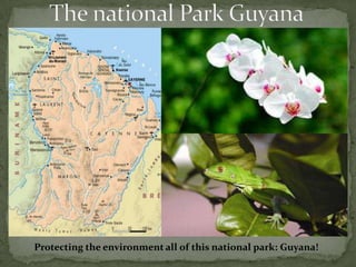 The national Park Guyana Protecting the environment all of this national park: Guyana! 