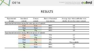 RESULTS
Experimental
designs
Inoculated
animals
Contact
animals
Rates of horizontal
transmission
Average days when antibod...