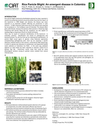 Rice Panicle Blight: An emergent disease in Colombia
                                        Fory, P., Prado, G., Aricapa, G., Correa, F., and Mosquera, G.
                                        Rice Pathology CIAT, Km 17 Recta Cali Palmira Colombia
                                             Pathology. CIAT                 Cali-Palmira, Colombia.
                                        g.m.mosquera@cgiar.org


INTRODUCTION
Rice panicle blight produced by Burkholderia glumae has been reported in
several rice‐producing countries around the world. Since the first report of
this bacterium in 1989 (Zeigler and Alvarez), the disease was never
reported as an important problem affecting rice production in Latin
America.
America In 2007 important yield losses due to the disease were reported
by rice producers in the Caribbean coast of Colombia. This disease affect
                                                                                                        Figure 2. Greenhouse activities as part of information diffusion workshop
grain yield directly because the bacteria infect panicles in flowering stage
interfering with kernels filling (Fig 1A). Symptoms can also appear on
                                                                                                        • Primer specificity was confirmed by sequencing analysis of PCR
seedling stage as long brown lesions on sheath and leaves.
                                                                                                          product (Fig 3B). One hundred percent of homology with B. glumae
There was no report of molecular identification of this bacterium in
                                                                                                          was obtained from blast search against gene bank database.
Colombia, previous identification was based on pathogenicity and
biochemical tests. For the first time we are reporting the identification of                                                                      Filled
                                                                                                        A
panicle blight causal agent, B. glumae, using molecular approaches
complementing pathogenicity tests. Here we are reporting a specific                                                                                       B
detection method based on PCR reaction confirmed by DNA sequencing
                                    reaction,                   sequencing,                                                                                         Up seeds              Down seeds
                                                                                                                                                                                                            Controls
in which B. glumae was detected on symptomatic and apparently healthy                                                                                          a)empty    b)filled   c)empty     c)filled


seeds collected on Colombian rice fields . In the same way, yellowish                                                                           Empty
pigment on solid media has been reported as selection criteria for B.
glumae (Fig 1B).       Preliminary results show that could be some
physiological variation among B glumae strains isolated from natural
                                   B.                                                                   Figure 3. A, rice grains affected by the disease. B, PCR amplification obtained from macerated
infected seeds.                                                                                         seeds.

A                                                                                                       • Not all B. glumae colonies were pigment producers (Fig 1B and 1C).
                                                                                                          A non‐pigmented strain that was PCR positive and pathogenic on
                                                                                                          seedlings was also isolated (Fig 1C)
                                                                                                                                           1C).
                                                          B
                                                                                                        • Parallel to PCR analysis, bacterial isolation on agar plates was also
                                                                                                           performed. Likely colonies were purified and used on pathogenicity
                                                                                                           test on rice seedlings (Fig 4).




                                                          C




Figure 1. A, panicle blight symptoms on infected field and B, typical colonies of its causal agent B.
  g          p          g    y p                               yp                             g         Figure 4 Symptoms produced by B glumae on rice seedlings 7 days after inoculation
                                                                                                               4.                     B.                                      inoculation..
glumae on King B agar plates.


MATERIALS and METHODS                                                                                   CONCLUSIONS
                                                                                                        • Development of a diagnostic method based on PCR allowed the
• Infected plant material (panicles) collected from fields in Cordoba
                                                                                                           specific detection of B glumae on rice contaminated seeds.
   and Sucre (Colombia).
              (         )
                                                                                                        • L concentrations of b t i l present on symptomless seeds
                                                                                                          Low          t ti      f bacterial       t        t l          d
• Three weeks old Colombia 21 variety seedlings obtained from
                                                                                                           were also detected by our diagnostic method.
   certified seeds.
                                                                                                        • Bacterial strains isolated from positive samples for PCR induced
• B. glumae specific primers for 16‐23S intergenic ribosomal region
                                                                                                           symptoms on rice seedlings.
   amplification reported by Sayler et al, 2006.
                                                                                                        • Strains identified as B glumae by PCR and pathogenicity tests
                                                                                                           showed variable morphology on agar plates .
                                                                                                            h     d i bl           h l              l t
RESULTS                                                                                                 • Sequencing data will allow to determine if pigment production
• PCR‐based detection method allowed specific detection of B. glumae                                       could remain as an indicator in B. glumae identification.
  on symptomatic rice seeds. Information diffusion was done to                                          • Research on last emerging rice panicle blight disease is in progress
  Universities and local research institutes by mean of workshops (Fig 2).                                 because it can substantially affect rice production.
• PCR method sensitivity was assessed by serial dilutions of pure culture
  of B. glumae. The minimal number of bacteria that was detectable by                                   References
  PCR was 100 bacteria per reaction.                                                                    Sayler, R.J., Cartwright, R.D., and Yang, Y. 2006. Plant Disease 90:
• Filled seeds from an infected panicle were also subject of PCR detection                               603‐610.
  assay (Fig 3A). B. glumae was detected on asymptomatic seeds where                                    Zeigler, R.S., and Alvarez, E. 1989. Plant Disease 73:368
  the bacteria concentration was about 1000 bacteria compared with ten
                                                bacteria,
  times more obtained from symptomatic grains.                                                          Funding:
                                                                                                        Fontagro Project No. FTG‐311/2005
 