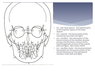  tns - top nasal septum - the highest point
on the superior aspect of the nasal
septum
 ma - mastoid - the lowest point of the
mastoid process (left and right)
 mx - maxillare - the intersection of the
lateral contour of the maxillary alveolar
process and the lower contour of the
maxillozygomatic process of the maxilla
(left and right) . Aka JUGAL POINT
 um - maxillary molar - the most prominent
lateral point on the buccal surface of the
second deciduous or first permanent
maxillary molar (left and right)
 