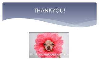 THANKYOU!
 