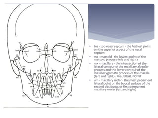  tns - top nasal septum - the highest point
on the superior aspect of the nasal
septum
 ma - mastoid - the lowest point ...