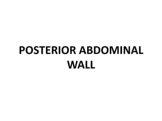 POSTERIOR ABDOMINAL WALL 