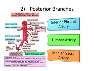 Inferior Vena Cava