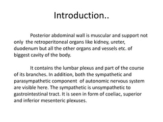 Introduction..	Posterior abdominal wall is muscular and support not only  the retroperitoneal organs like kidney, ureter, duodenum but all the other organs and vessels etc. of biggest cavity of the body.	It contains the lumbar plexus and part of the course of its branches. In addition, both the sympathetic and parasympathetic component  of autonomic nervous system are visible here. The sympathetic is unsympathetic to  gastrointestinal tract. It is seen in form of coeliac, superior and inferior mesenteric plexuses.