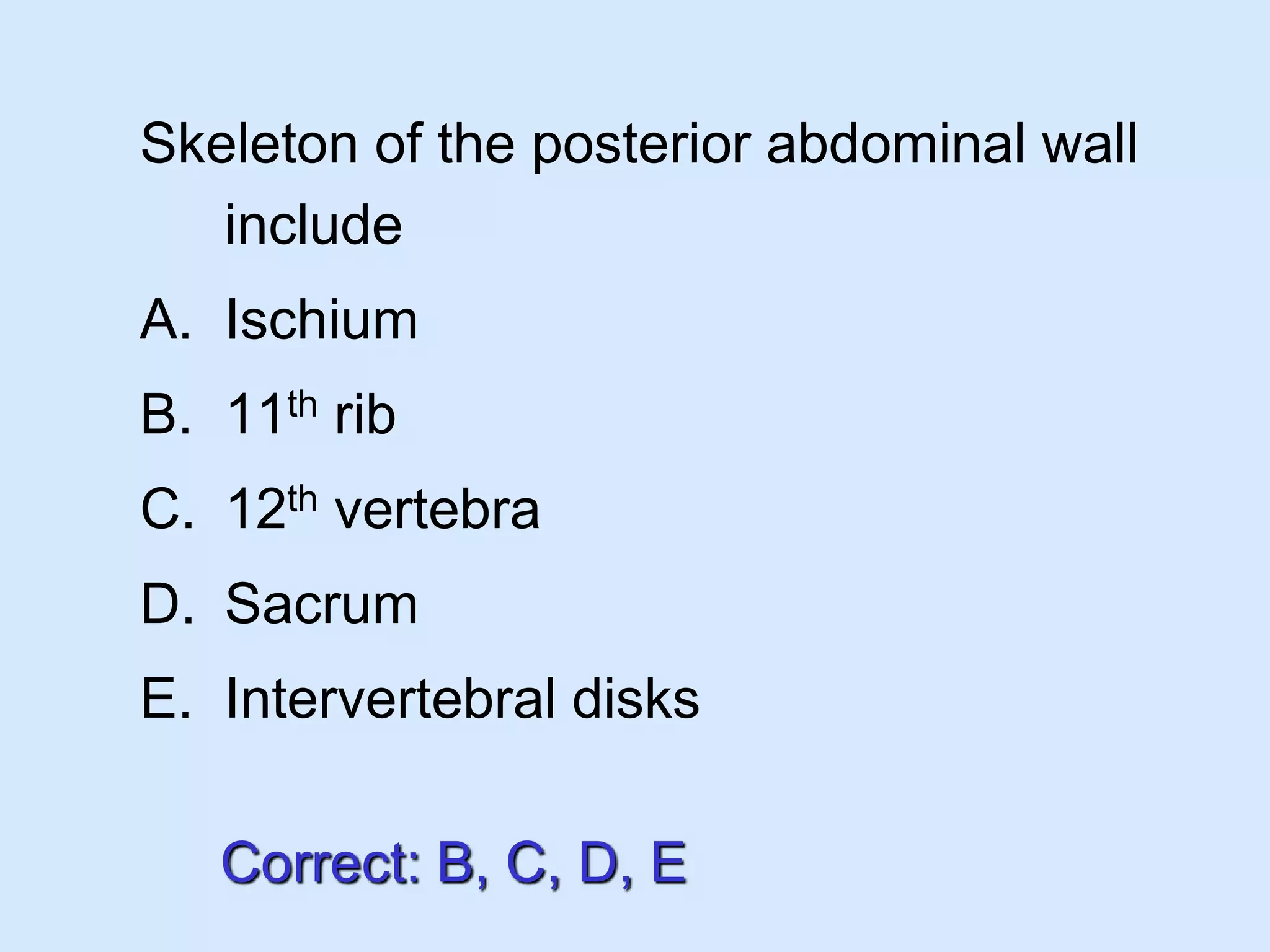 Posterior abdominal wall PPT