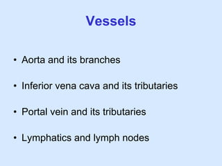 Vessels
• Aorta and its branches
• Inferior vena cava and its tributaries
• Portal vein and its tributaries
• Lymphatics and lymph nodes
 