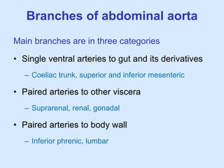 Branches of abdominal aorta
Main branches are in three categories
• Single ventral arteries to gut and its derivatives
– Coeliac trunk, superior and inferior mesenteric
• Paired arteries to other viscera
– Suprarenal, renal, gonadal
• Paired arteries to body wall
– Inferior phrenic, lumbar
 