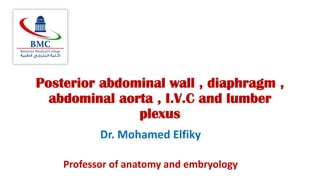 Posterior abdominal wall , diaphragm ,
abdominal aorta , I.V.C and lumber
plexus
Dr. Mohamed Elfiky
Professor of anatomy and embryology
 