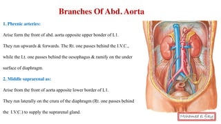 1. Phrenic arteries:
Arise form the front of abd. aorta opposite upper bonder of L1.
They run upwards & forwards. The Rt. one passes behind the I.V.C.,
while the Lt. one passes behind the oesophagus & ramify on the under
surface of diaphragm.
2. Middle suprarenal as:
Arise from the front of aorta apposite lower border of L1.
They run laterally on the crura of the diaphragm (Rt. one passes behind
the I.V.C.) to supply the suprarenal gland.
Branches Of Abd. Aorta
Mohamed el fiky
 
