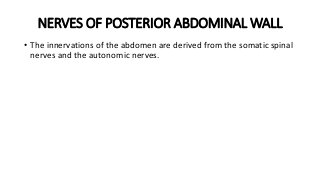 NERVES OF POSTERIOR ABDOMINAL WALL
• The innervations of the abdomen are derived from the somatic spinal
nerves and the autonomic nerves.
 