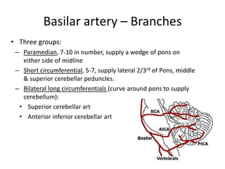 • Three groups:
– Paramedian, 7-10 in number, supply a wedge of pons on
either side of midline
– Short circumferential, 5-7, supply lateral 2/3rd of Pons, middle
& superior cerebellar peduncles.
– Bilateral long circumferentials (curve around pons to supply
cerebellum):
• Superior cerebellar art
• Anterior inferior cerebellar art
Basilar artery – Branches
 