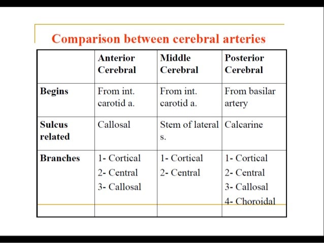 stroke syndromes