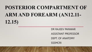 POSTERIOR COMPARTMENT OF
ARM AND FOREARM (AN12.11-
12.15)
DR RAJEEV PANWAR
ASSISTANT PROFESSOR
DEPT. OF ANATOMY
SSSMCRI
 