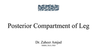 Posterior Compartment of Leg
Dr. Zaheer Amjad
MBBS, DLO, PhD
 