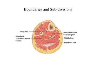 Boundaries and Sub-divisions
 