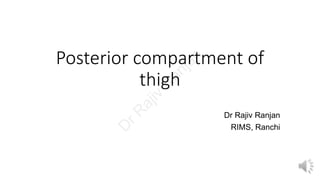 Posterior compartment of
thigh
Dr Rajiv Ranjan
RIMS, Ranchi
D
rR
ajiv
R
anjan
 