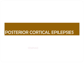 POSTERIOR CORTICAL EPILEPSIES ,[object Object]