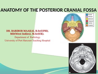 Comprehensive Anatomy of the Posterior Cranial Fossa: Structure ...