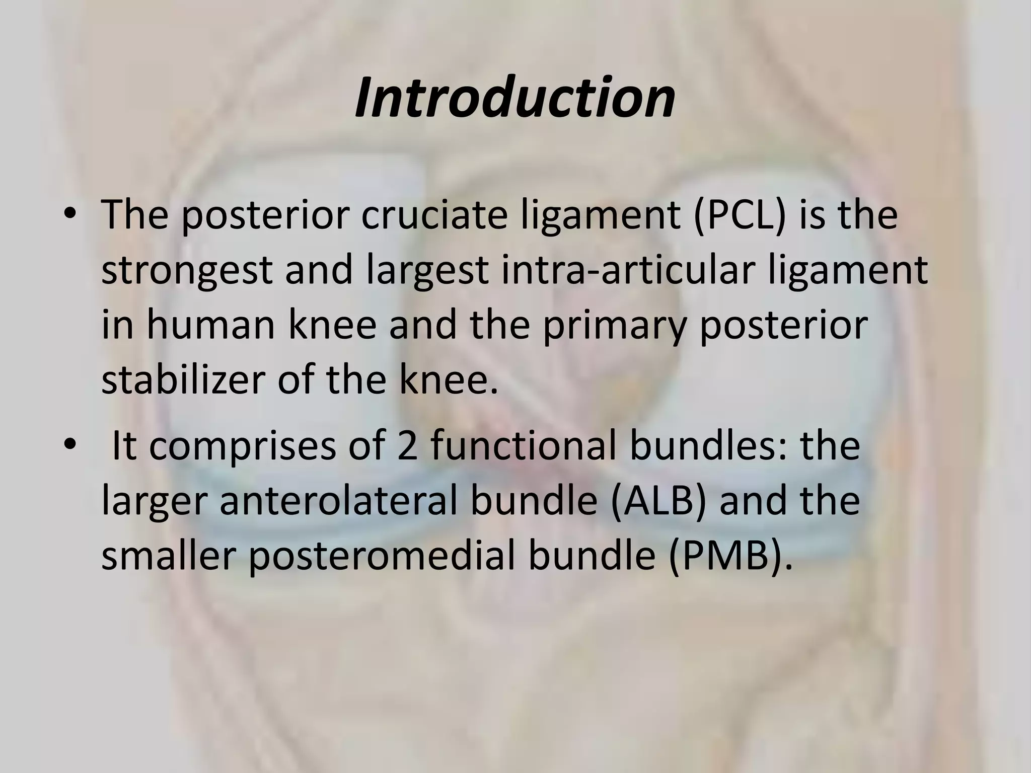 Pcl Posterior cruciate liagment.pptx