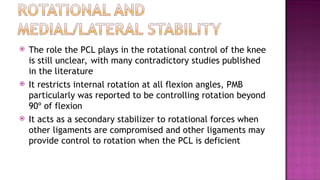 posterior cruciate ligament injury.ppt. . | PPT