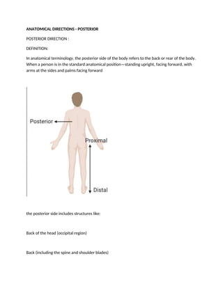 posterior direction.uma maheswari.docx.docx