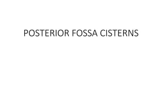 POSTERIOR FOSSA CISTERNS
 