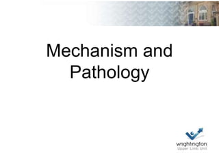 Mechanism and
Pathology
 