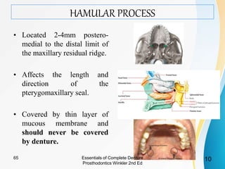 HAMULAR PROCESS
• Located 2-4mm postero-
medial to the distal limit of
the maxillary residual ridge.
• Affects the length and
direction of the
pterygomaxillary seal.
• Covered by thin layer of
mucous membrane and
should never be covered
by denture.
Essentials of Complete Denture
Prosthodontics Winkler 2nd Ed
1065
 