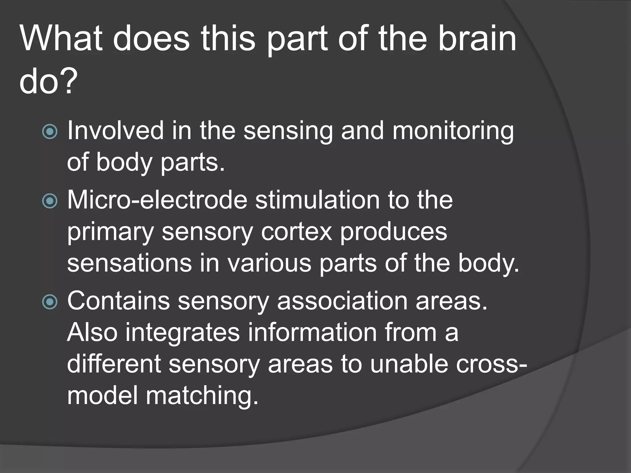 What does this part of the brain do?Involved in the sensing and monitoring of body parts.Micro-electrode stimulation to the primary sensory cortex produces sensations in various parts of the body.Contains sensory association areas. Also integrates information from a different sensory areas to unable cross-model matching.