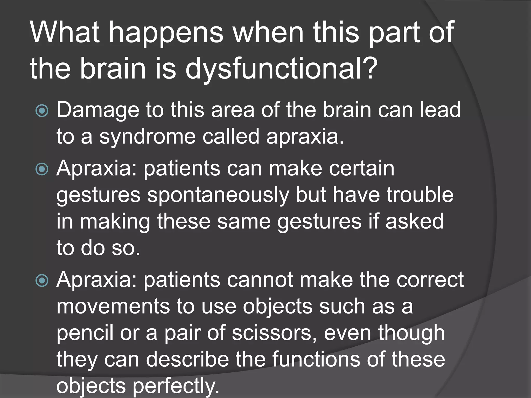 What happens when this part of the brain is dysfunctional?Damage to this area of the brain can lead to a syndrome called apraxia.Apraxia: patients can make certain gestures spontaneously but have trouble in making these same gestures if asked to do so. Apraxia: patients cannot make the correct movements to use objects such as a pencil or a pair of scissors, even though they can describe the functions of these objects perfectly. 