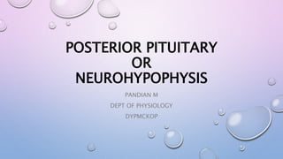 POSTERIOR PITUITARY
OR
NEUROHYPOPHYSIS
PANDIAN M
DEPT OF PHYSIOLOGY
DYPMCKOP
 