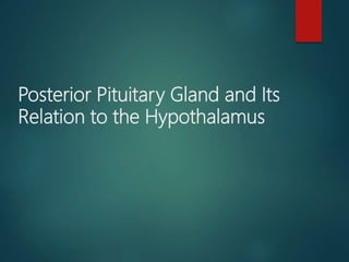 Posterior Pituitary Gland and Its
Relation to the Hypothalamus
 