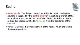Retina
• Blood Supply : The deeper part of the retina, i.e., up to the bipolar
neurons is supplied by the central artery of the retina (a branch of the
ophthalmic artery), while the superficial part of the retina up to the
rods and cones is nourished by diffusion from the capillaries of the
choroid.
• Venous Drainage: It is by central vein of the retina, which drains into
the cavernous sinus.
 