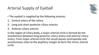 Arterial Supply of Eyeball
• The eyeball is supplied by the following arteries:
1. Central artery of the retina
2. Long and short posterior ciliary arteries
3. Anterior ciliary arteries
In the region of ciliary body, a major arterial circle is formed by the
anastomosis between long posterior ciliary artery and anterior ciliary
artery. From major arterial circle the vessel passes centripetally and
anastomoses close to the pupillary margin to form the minor arterial
circle.
 